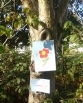 Kersal Moor Fruits of the Earth Festival Salford